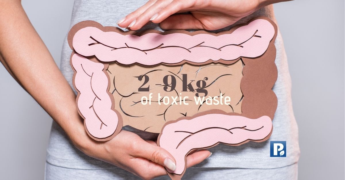 How Much Toxic Waste is Trapped in Your Body Colon? ProBion
