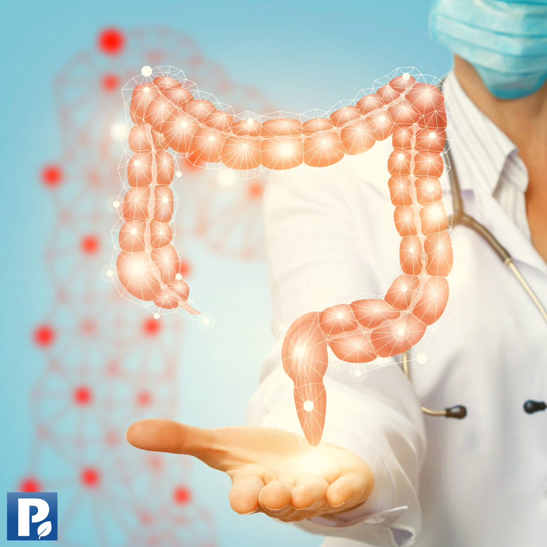 Врач кишечника как называется который. Врач кишечника как называется который. Проктология заболевания. Биопсия колоноскопия толстой кишки. Врач кишечника как называется который.